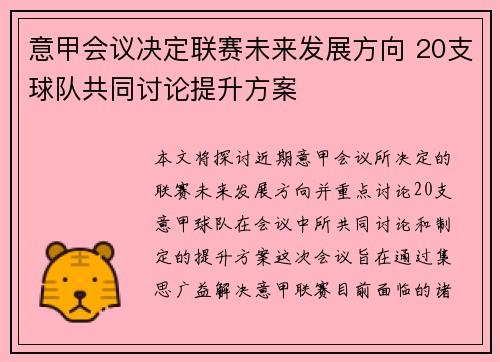 意甲会议决定联赛未来发展方向 20支球队共同讨论提升方案